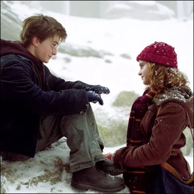 Dans la saga "Harry Potter", Hermione Granger est amoureuse de Harry Potter.
