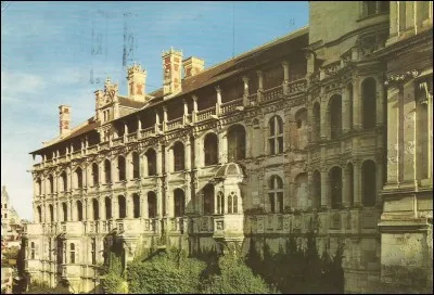 Dans ce château, il y a l'aile Gaston d'Orléans et l'aile François 1er ; c'est...