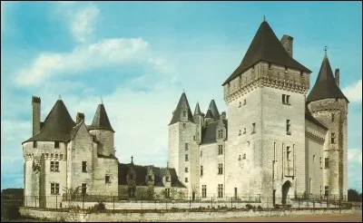 Et voici le château du Coudray-...