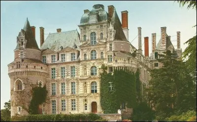 Louis XIII y signa la paix d'Angers ; c'est le château de...