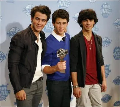 Le 17 janvier 2009, dans quelle catgorie ont-ils dcroch un NRJ Music Award ?