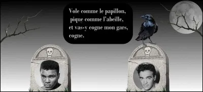Le corbeau est-il sur la bonne pierre tombale ?