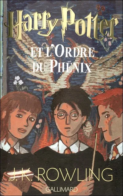 Combien y a-t-il de pages dans le cinquième tome édition Folio Junior (de poche) ?