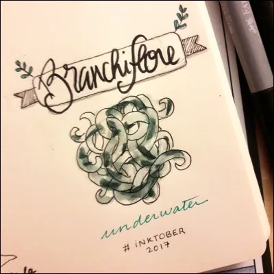 Qui conseille la branchiflore à Harry dans le livre n°4 ?