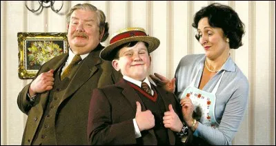Quelle est la marque de voiture des Dursley?