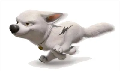 Quelle est la couleur des motos de l&acute;homme avec un oeil vert dans BOLT?