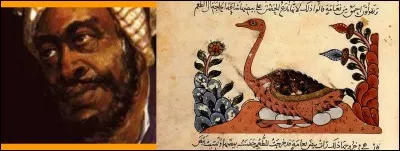 « "Blanc" et "noir" sont des résultats de l'environnement, et non ceux d'une métamorphose, de punition, de défiguration, ni d'une quelconque faveur divine. » Ainsi s'exprimait en son temps le grand savant Al-Jahiz, né à Bassra (Irak) d'origine « zandj ». Que désigne ce dernier terme et à quel siècle vivait-il ?