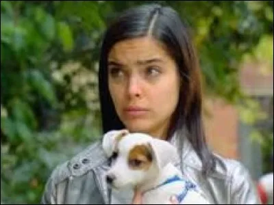 Quel est l'épisode où Franky a une chienne ?