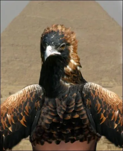 À quel Dieu égyptien le faucon est-il assimilé ?