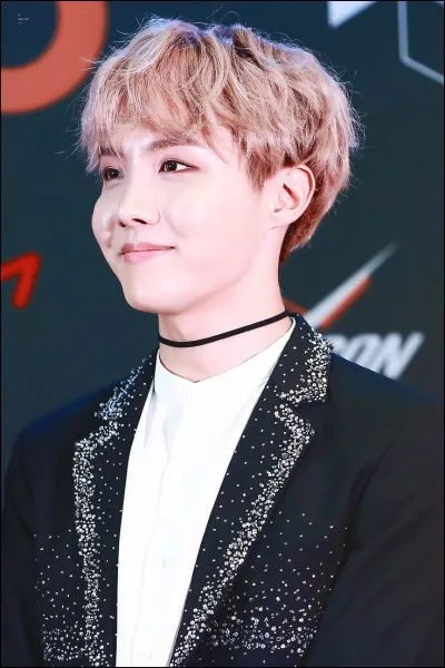 Dans quelle ville est né J-Hope ?