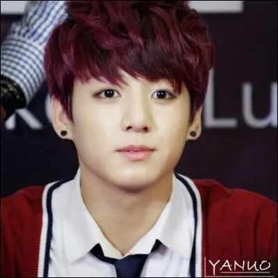Jungkook est le :