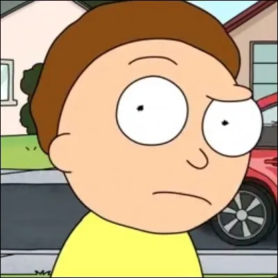 Quel est le nom de famille de Morty ?