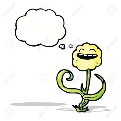 Tu es plut&ocirc;t...