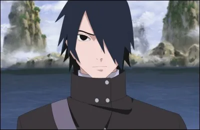 De quel type Sasuke est-il de base ?