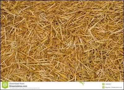 La litière sert à...