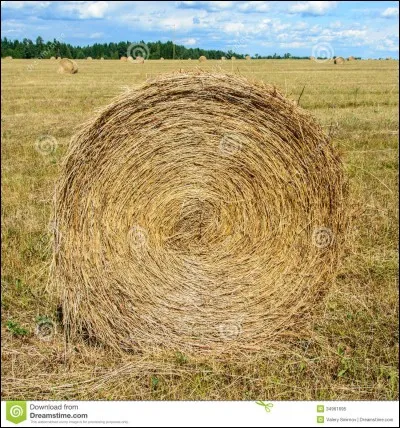 Une litière est composée principalement de...