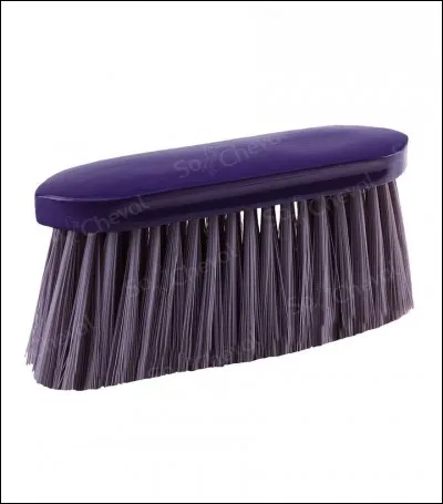 Quel est celui-là ?