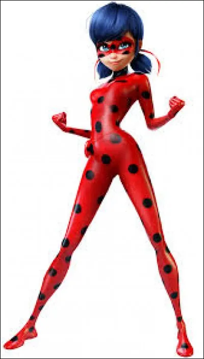 Qui Ladybug ?