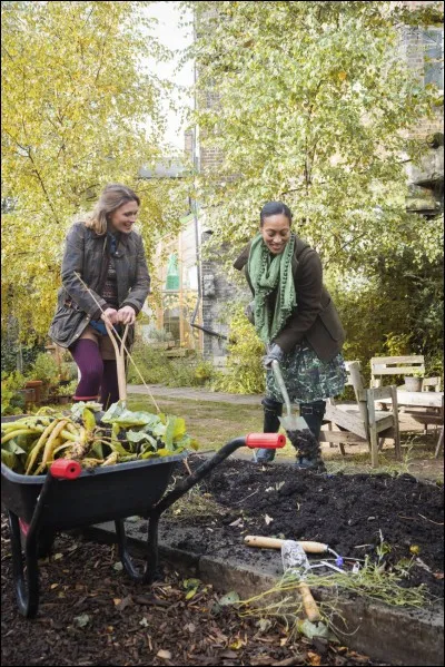Quel est le nom du pigment qui donne aux feuilles leur couleur verte ?