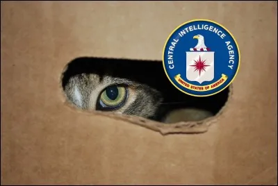 Combien de millions de dollars a dépensés la CIA dans les années 60, pour dresser des chats afin d'espionner les soviétiques ?