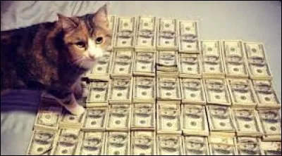Combien de millions d'euros un chat a-t-il hérité de ses propriétaires ?