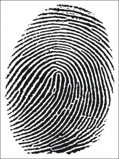 Quelle partie du corps du chat est l'équivalent de l'empreinte digitale chez l'être humain ?