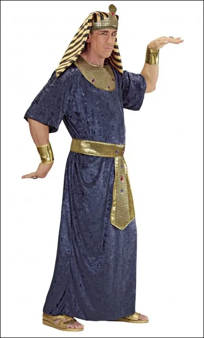 Que subissaient les Égyptiens s'ils tuaient un chat (même par accident) ?