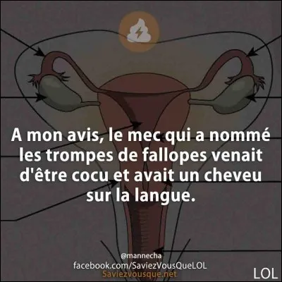 A quoi vous fait penser cette expression d'un genre plutôt trivial : mal baisé ?