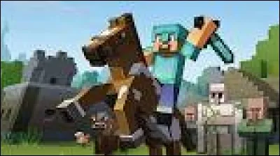Avec qui joue-t-elle dans "Minecraft survie" ?