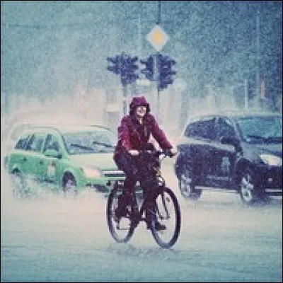 Nous disons, quand il pleut fort et beaucoup, qu'il pleut "des cordes", mais les anglais, grands connaisseurs du temps de pluie, font pleuvoir alors des animaux, lesquels ?