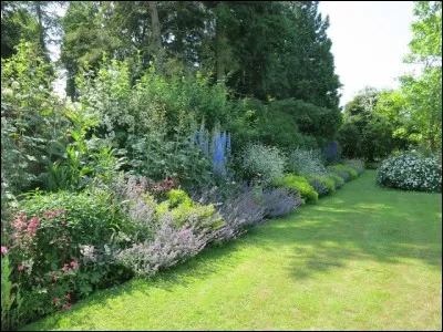 Nous disons, quand quelqu'un est mort, qu'il "mange les pissenlits par la racine", mais les anglais ont une autre fleur en jeu, laquelle ?