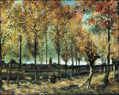 De qui est cette toile ?