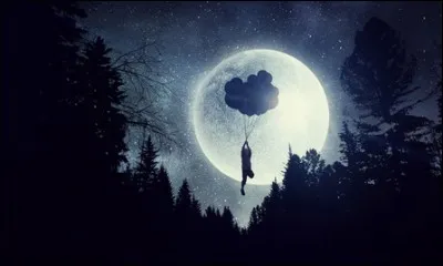 Comment s'appelle la mission au cours de laquelle l'Homme a fait ses premiers pas sur la Lune ?