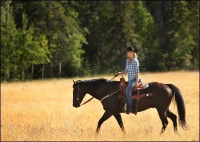 Le nom du cheval est...