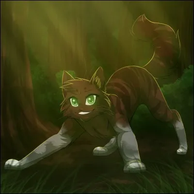 Que doit faire un apprenti guerrier ?