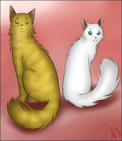 En tant que guerrier avez-vous le droit d'avoir des petits avec un guérisseur ?