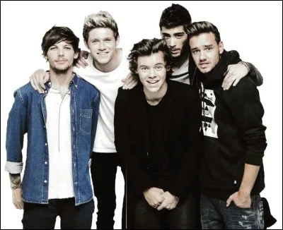 Qui a choisi le nom du groupe?