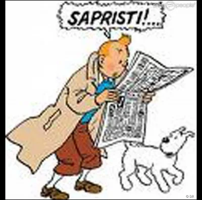 Combien y a-t-il d'albums de "Tintin" ?