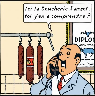 Quel est le n° de téléphone de la boucherie Sanzot ?