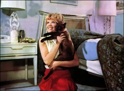 Ce chat siamois est élégant et drôle. Prénommé PV (pour Petit Voyou - en VO, DC pour Darn Cat ou Diabolically clever c'est à dire diaboliquement intelligent), il est sans conteste la star du film... ?