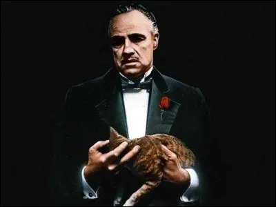 C'est un personnage de film célèbre, joué par Marlon Brando, qui caline ce chat. Qui est-il ?