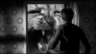 Ce chat semble ne plus reconnaître son maître, dans ce film qui date des années 50, et reste un film impressionnant. Quel est son titre ?
