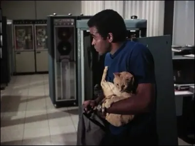 Ce chat très malin (et sans doute très bien dressé) n'intervient que dans un seul épisode de cette série, intitulé "le sceau" et il y fait tout le travail. Quelle est cette série ?