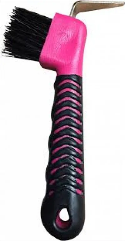 Quelle est cette chose ?