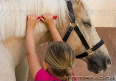 A quoi sert un pansage ?