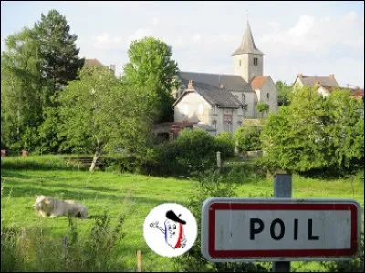 Poil est situé dans le canton de Luzy.
Pictia devient Poiz, puis Poys au XIe siècle.
Indices : 1. Le département doit son nom à la rivière qui le traverse - 2. Château-Chinon.