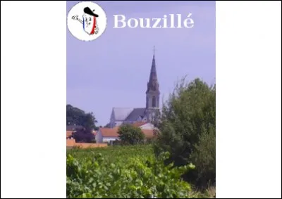Bouzillé est situé dans le canton de La Pommeraye.
"Buzilliacus" à l'époque gallo-romaine, puis Bozillé.
Indices : 1. Les limites du département sont celles de l'ancienne province d'Anjou - 2. Saumur.