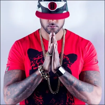 Qui est on rappeur préféré ?