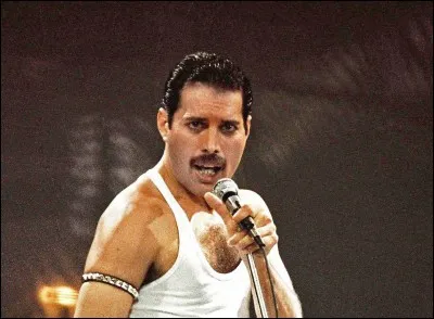 En quelle année Freddie Mercury est-il décédé ?