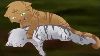 Qui est la m&egrave;re adoptive de Patte de Brume et de Pelage de Silex ?